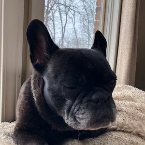 Meet your Posher, Kristy